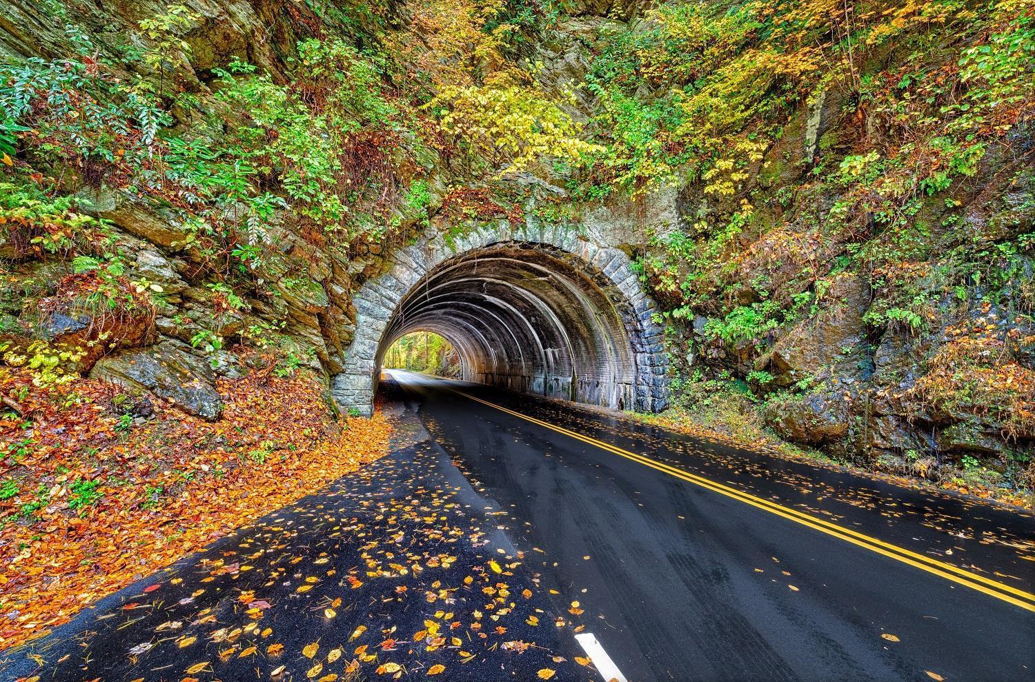 A Stones Throw, You Get 1089 Free Attraction Tickets Per Paid Day, Dollywood And Much More! Пиджен-Фордж Экстерьер фото